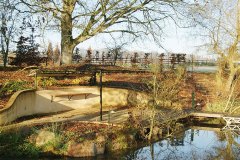 real-paysage-etang-19
