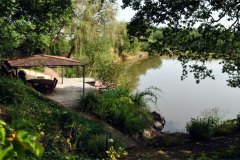 real-paysage-etang-20