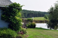 real-paysage-etang-22