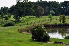 real-paysage-etang-23