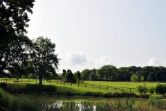 real-paysage-etang-27