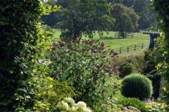 real-paysage-etang-28