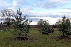 plantation-arbres-darras-02