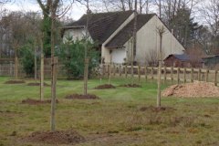 plantation-arbres-darras-04